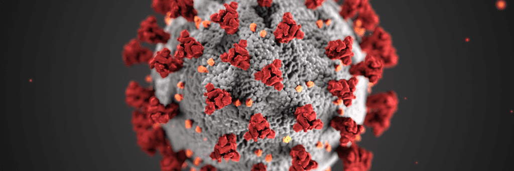 image of COVID-19 virus