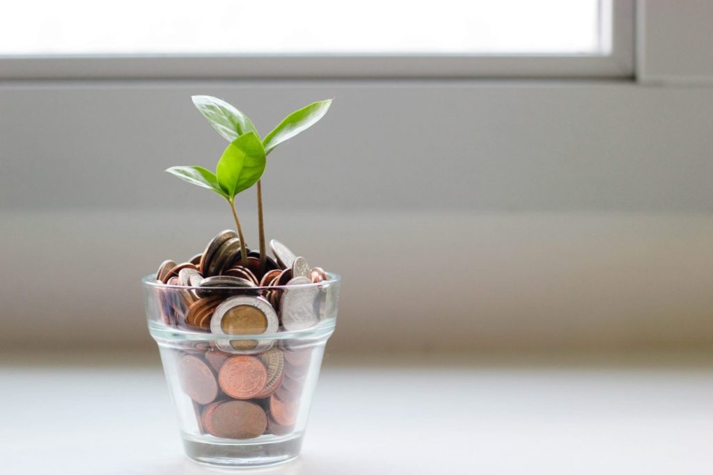 little plant growing in glass with money
